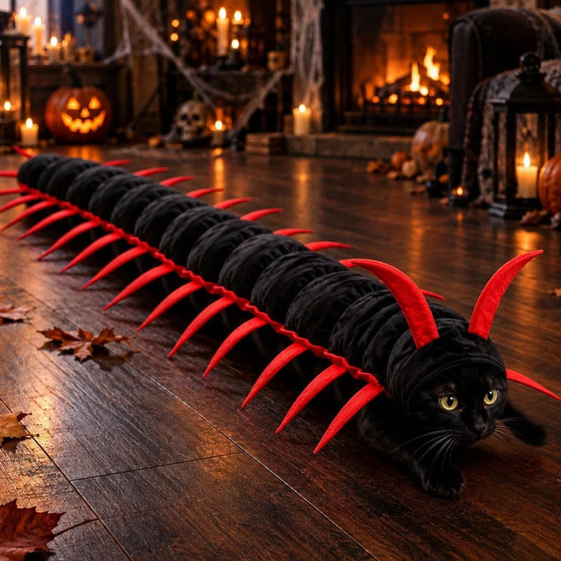 A black cat in the Centipede Cat Costume in a candlelit Halloween room