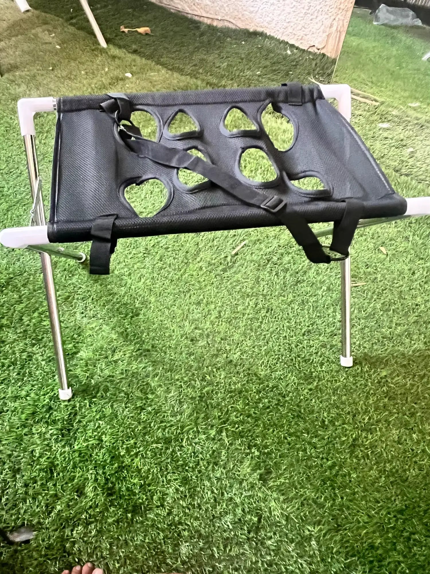 Customer photo of a Pawlie grooming stand outdoors